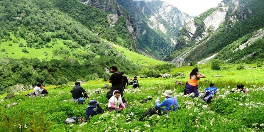 Valley of Flowers Trek