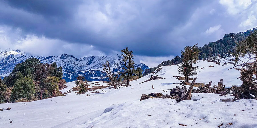 Chopta Chandrashila Trek